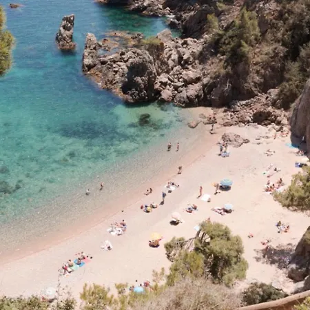 Apartament Les Alzines